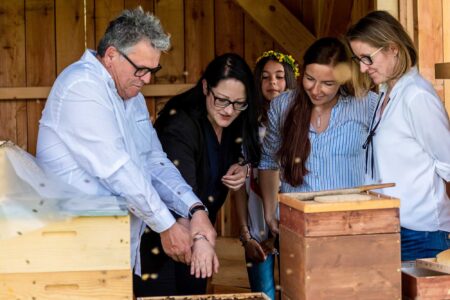 Read more about the article EUR 100 Bonus For Beekeeping Newbies In Austrian Town