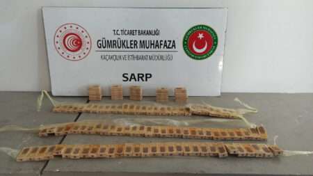 Read more about the article Bee-Smuggling Attempt Foiled At Turkish Border